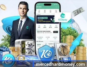 半岛网页版登录入口 APP 深度功能